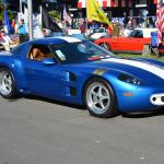 VetsandVettes_0012 (November 09, 2013)